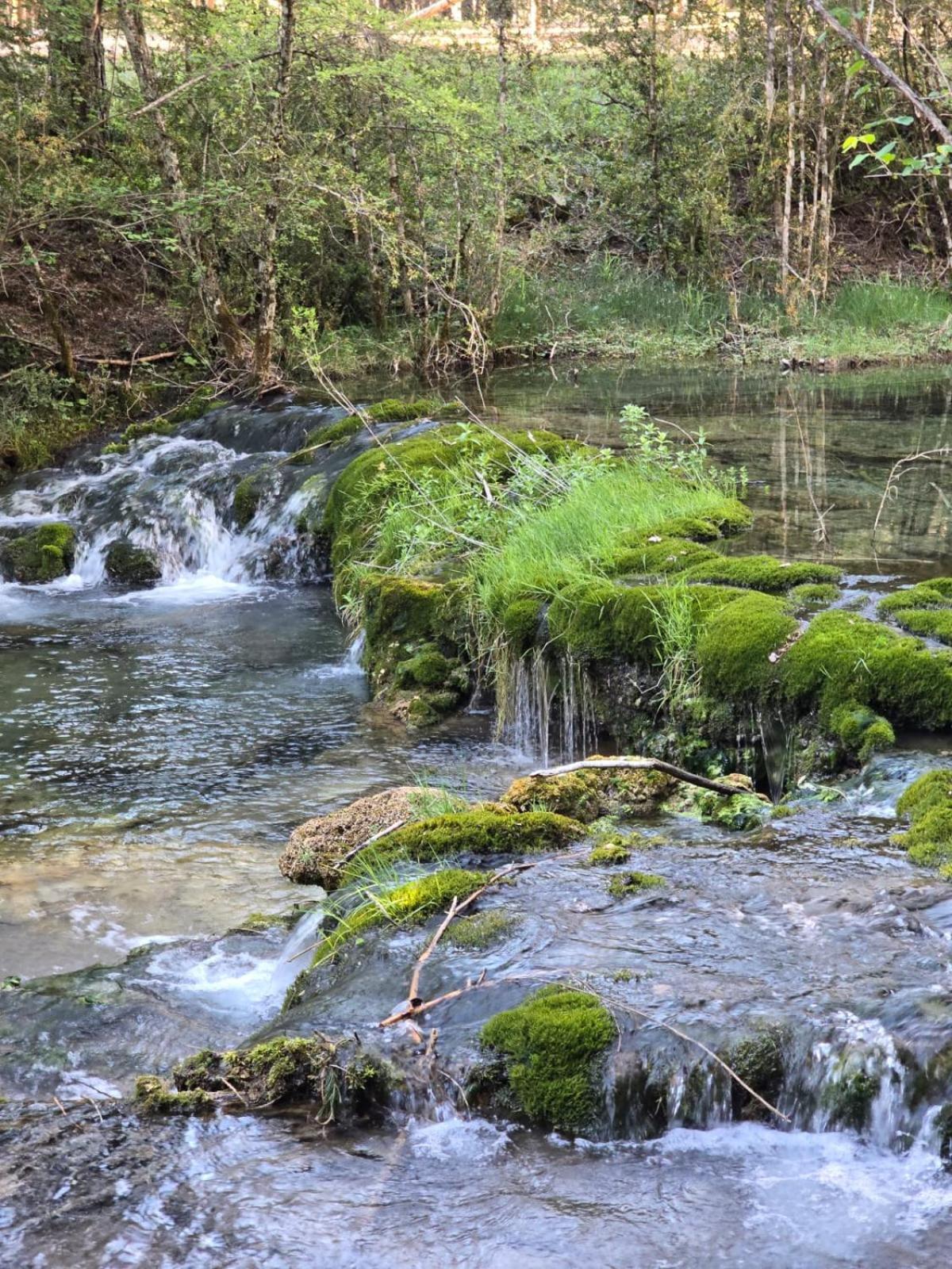 Hostal Rural Alto Tajo Poveda Poveda de la Sierra Dış mekan fotoğraf